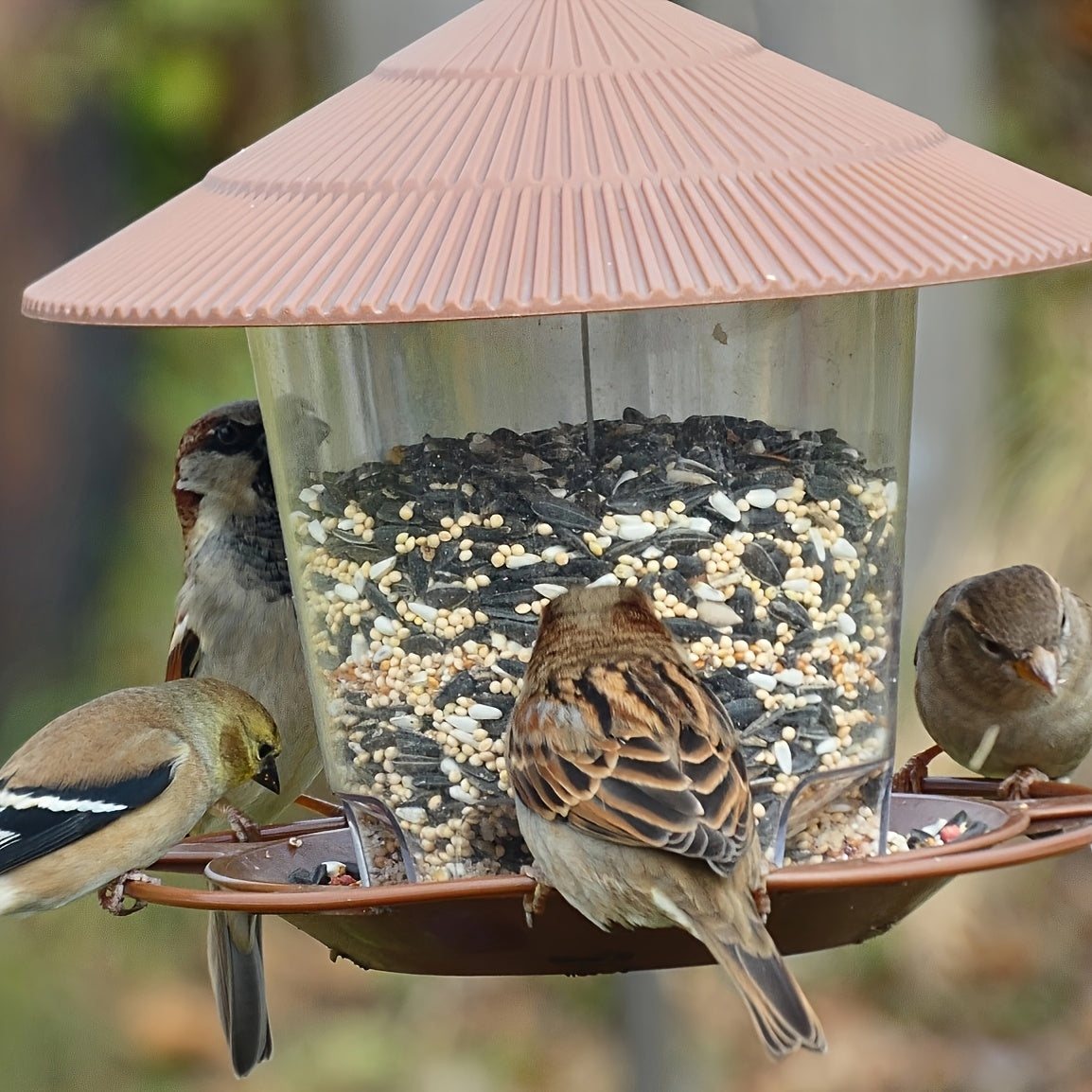 Station de Nourriture pour Oiseaux en Forme de Champignon – Pratique et Décoratif pour Jardins et Espaces Extérieurs