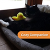 Canard Flottant Jouet pour Chat – DuckDash™ (1+1 GRATUIT)