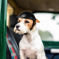 Casque et lunettes de moto TrailPup pour chiens - Ajustement sécurisé