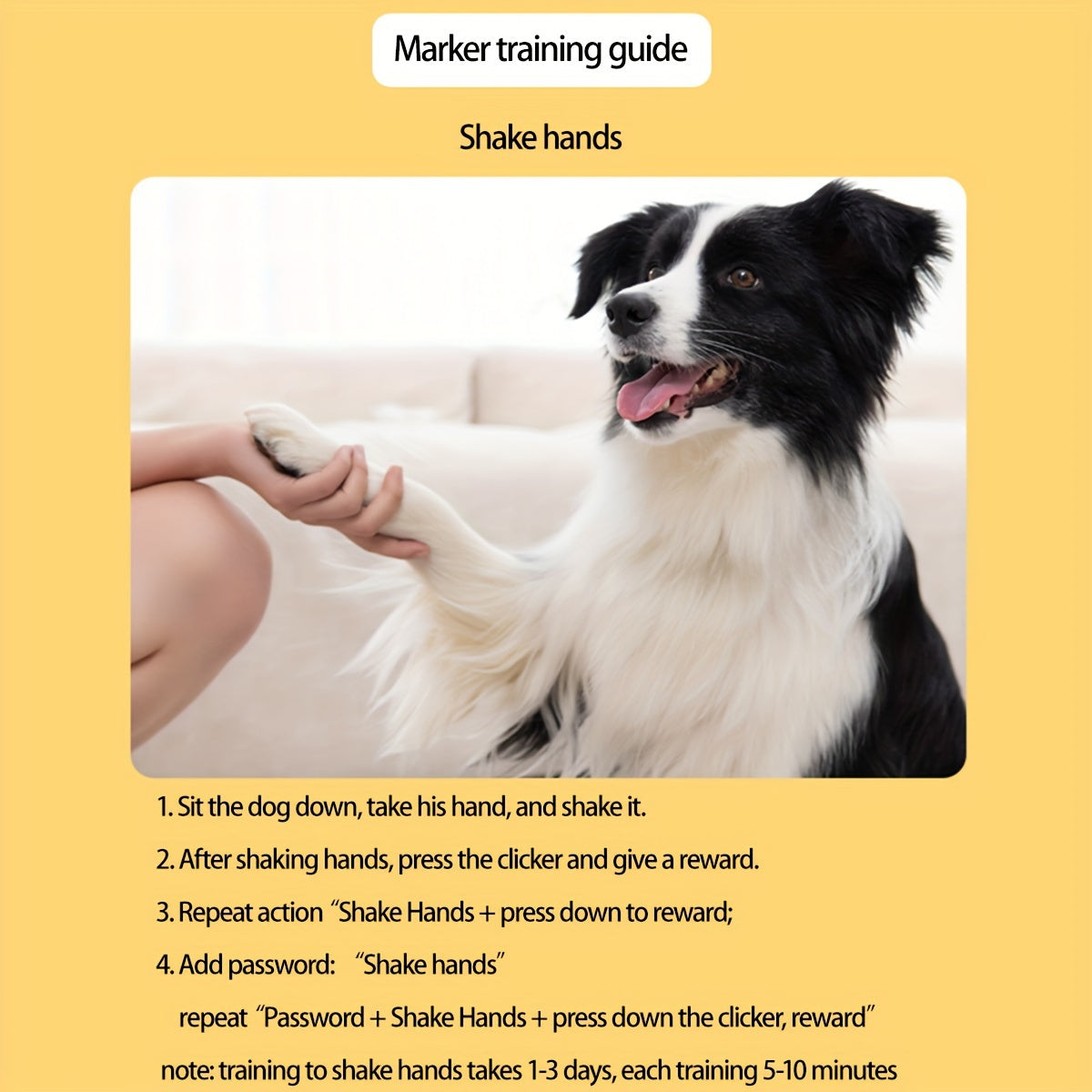 Bouton d'Entraînement pour Chiens – Améliorez les Commandes et le Comportement de Votre Chien