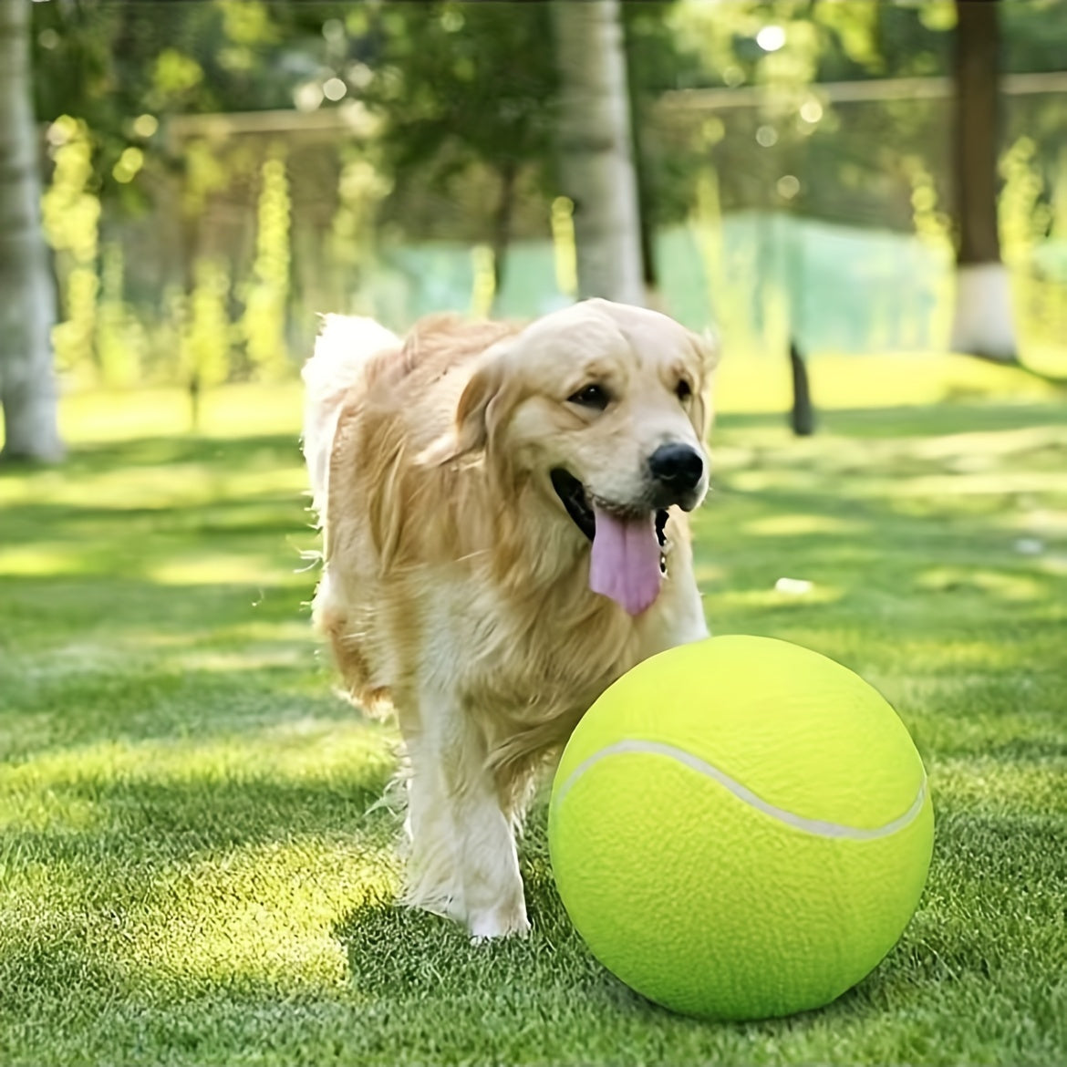 Balle de Tennis Extra Durable pour Grands Chiens – Idéale pour le Jeu et l'Activité en Extérieur