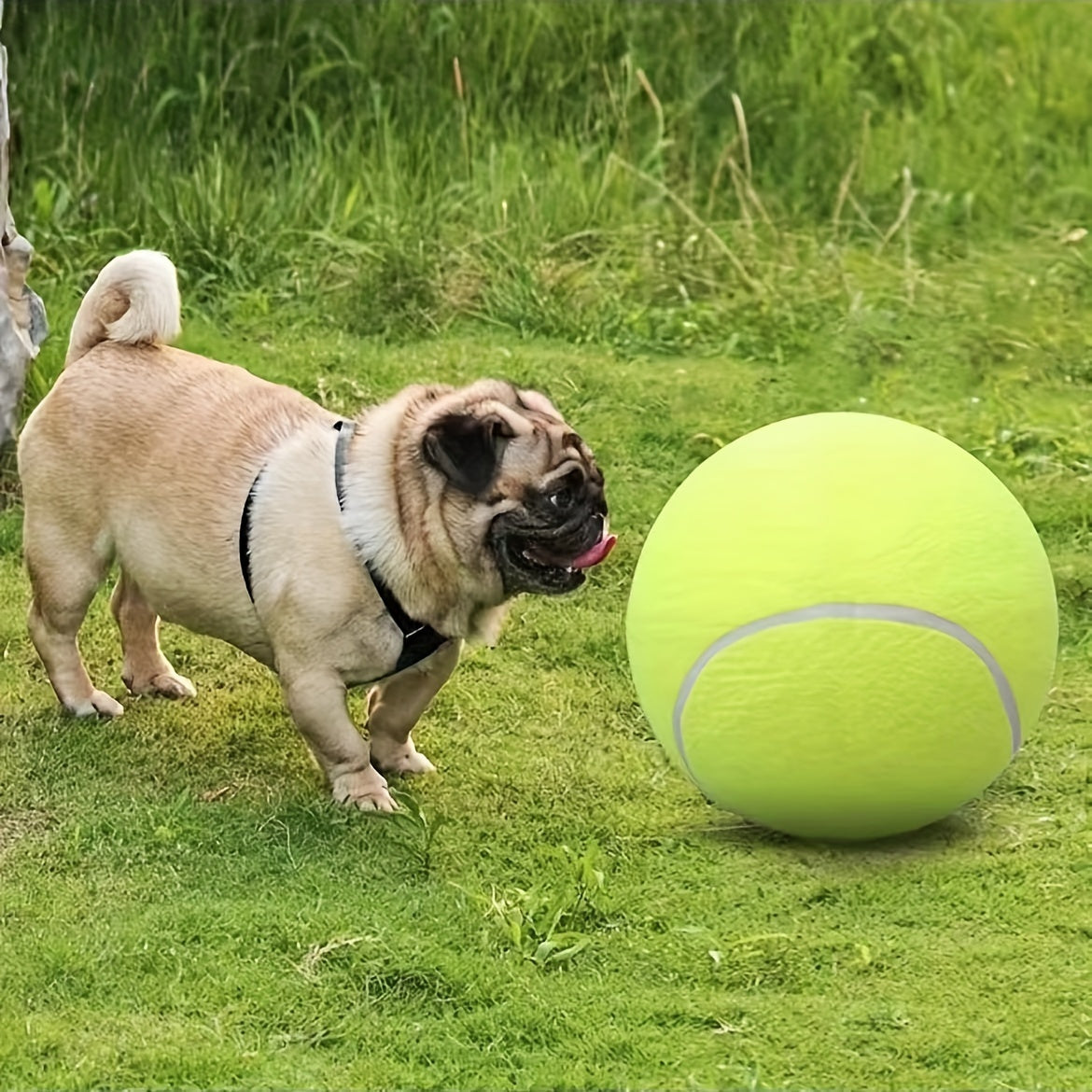 Balle de Tennis Extra Durable pour Grands Chiens – Idéale pour le Jeu et l'Activité en Extérieur