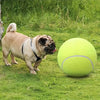 Balle de Tennis Extra Durable pour Grands Chiens – Idéale pour le Jeu et l'Activité en Extérieur