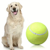 Balle de Tennis Extra Durable pour Grands Chiens – Idéale pour le Jeu et l'Activité en Extérieur