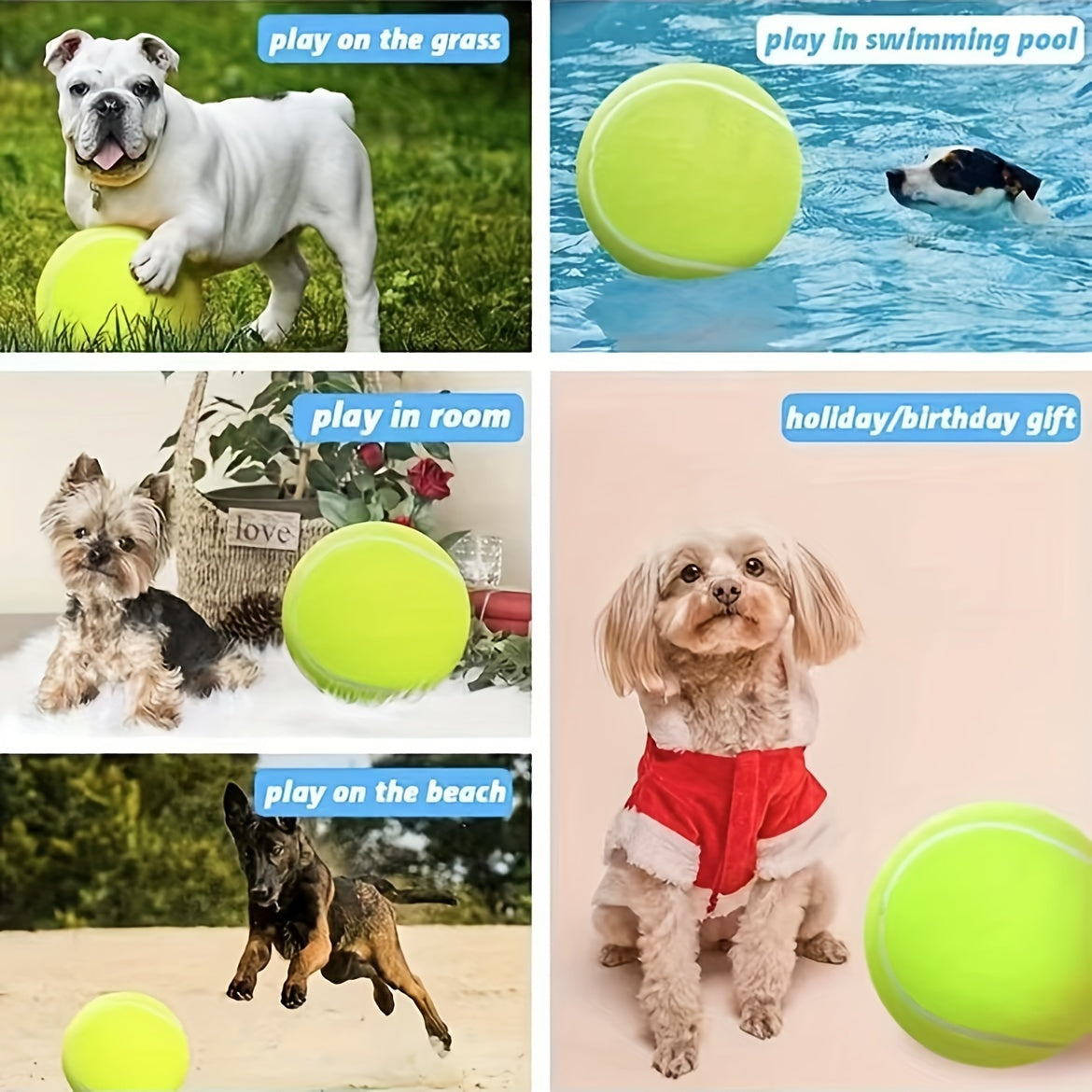 Balle de Tennis Extra Durable pour Grands Chiens – Idéale pour le Jeu et l'Activité en Extérieur
