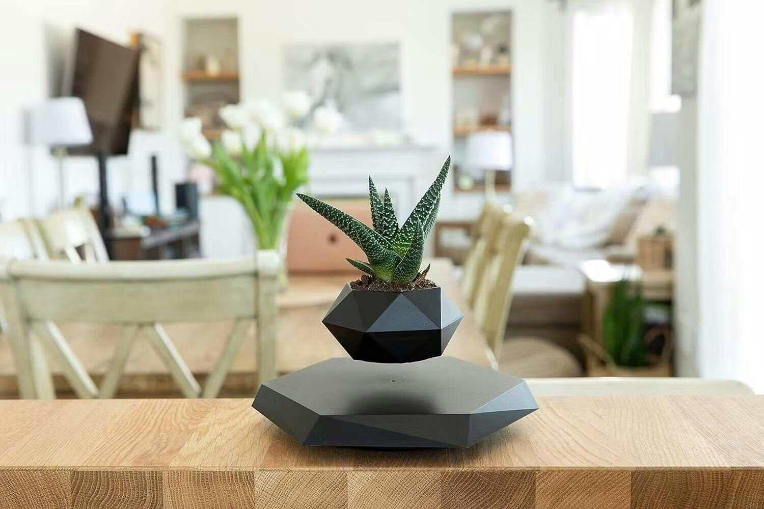 Support de plante flottant avec lévitation magnétique - Liva