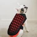 Ceinture LumaCare pour animaux de compagnie avec lumière infrarouge pour soulagement de la douleur et soutien des tissus mous