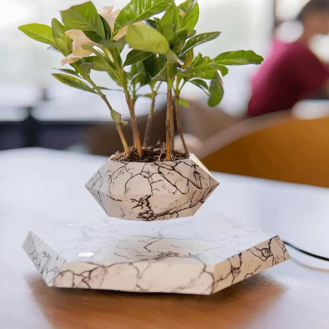Support de plante flottant avec lévitation magnétique - Liva