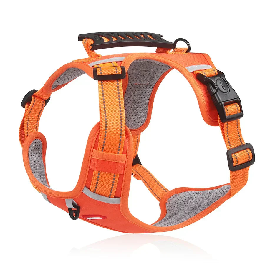 Harnais Robuste & Confortable pour Chien - ActivePup™