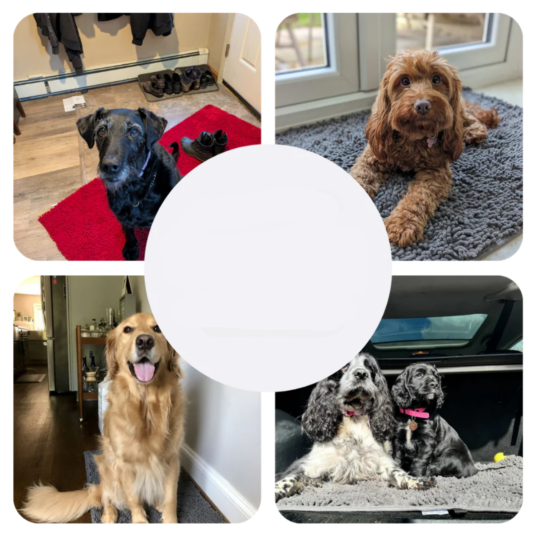 Tapis pour chien super absorbant – PawMat