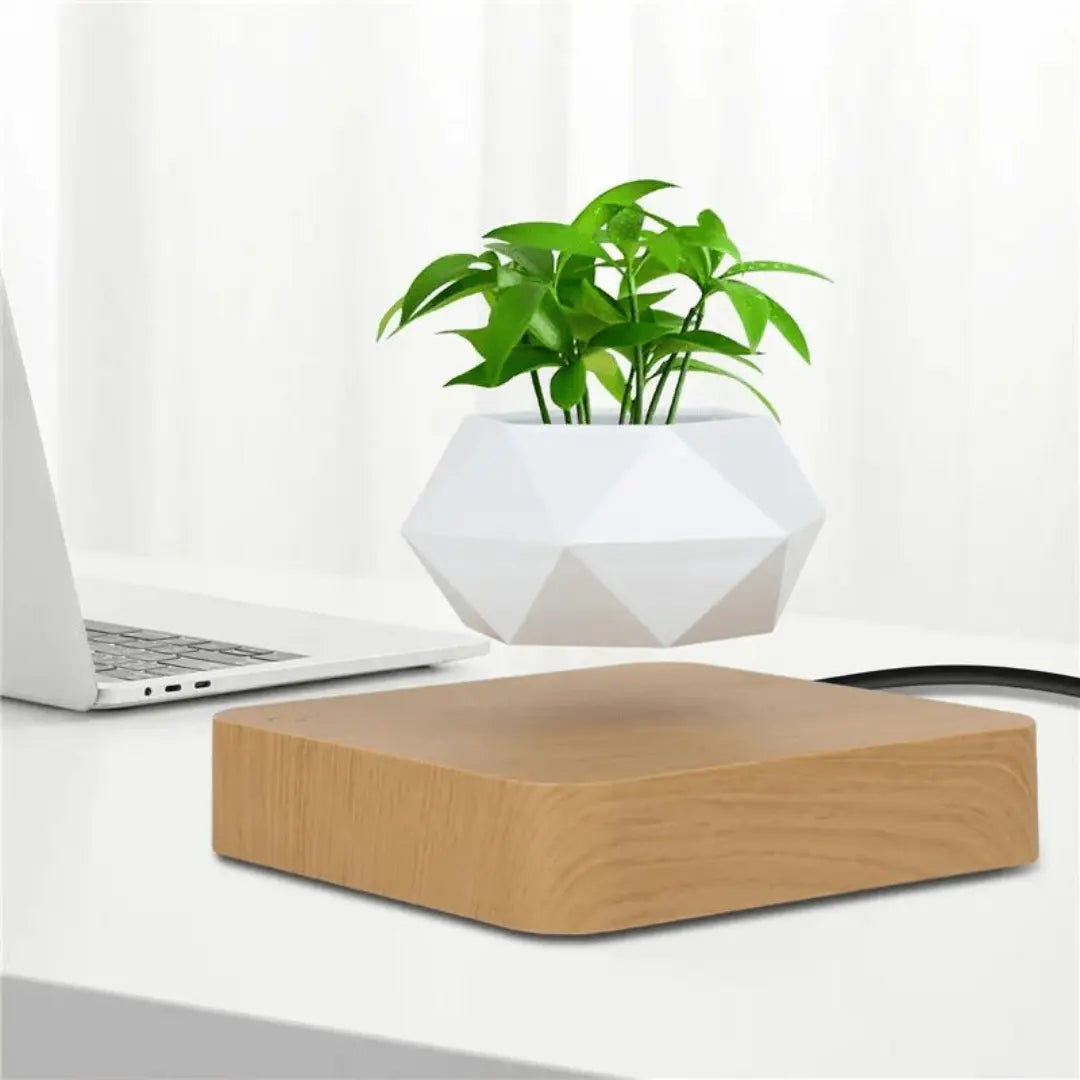 Support de plante flottant avec lévitation magnétique - Liva