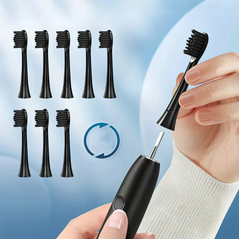 Brosse à dents sonique rechargeable | Silencieuse & Puissante | 8 Têtes de brosse | USB