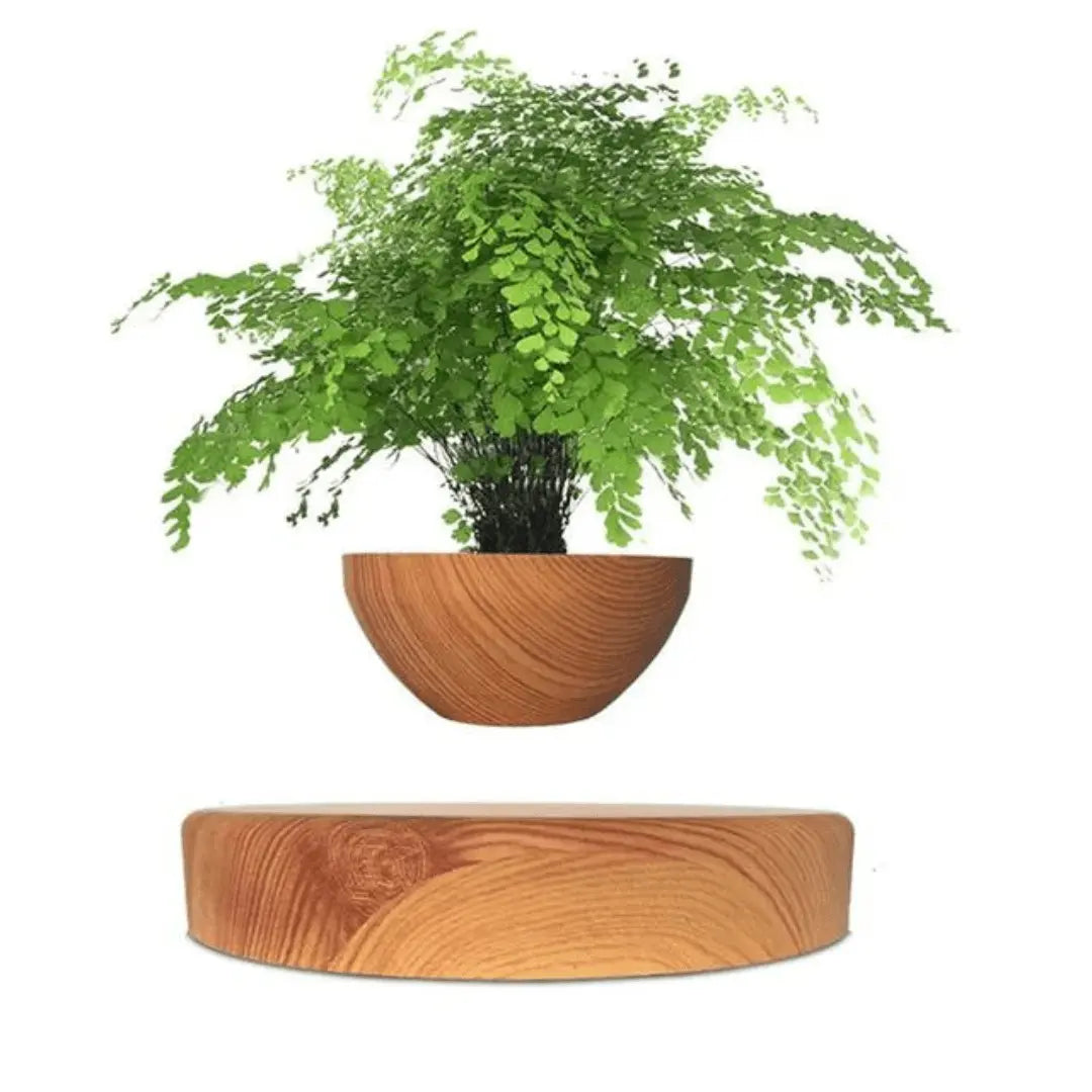 Support de plante flottant avec lévitation magnétique - Liva