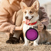 Bol de Nourriture Pliable – Durable et Compact pour Chiens et Chats