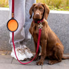Bol de Nourriture Pliable – Durable et Compact pour Chiens et Chats