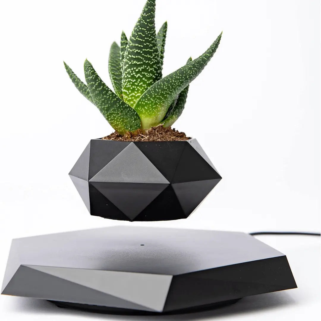 Support de plante flottant avec lévitation magnétique - Liva