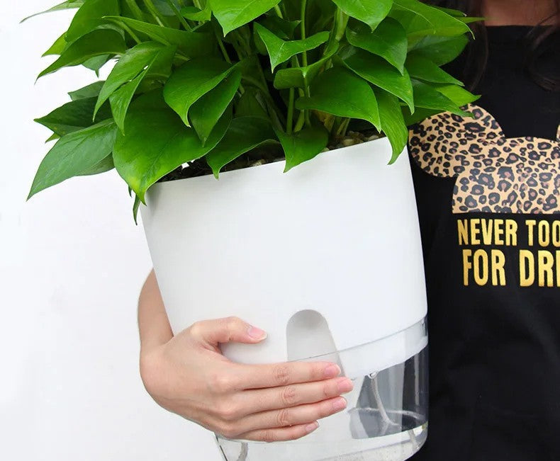 Vase Transparent Auto-arrosant – Pot de Fleurs à Double Couche avec Système d'Irrigation en Corde de Coton