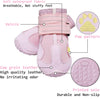 Bottes pour chiens toutes saisons pour des aventures en toute sécurité