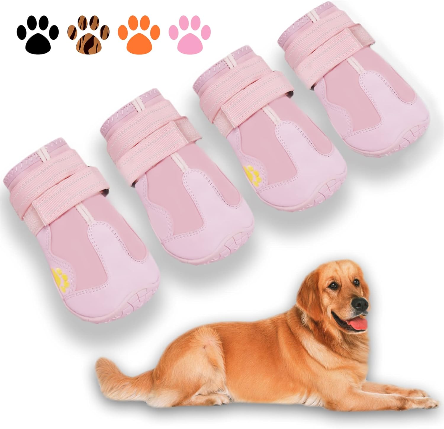 Bottes pour chiens toutes saisons pour des aventures en toute sécurité