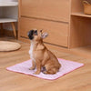 Tapis Rafraîchissant pour Animaux en Été - Tapis de Sommeil en Soie Glacée de 40 pouces pour Chiens et Chats