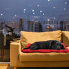 Tapis pour Chien Pliable et Imperméable – Tapis de Voyage Confortable pour l'Extérieur et le Camping