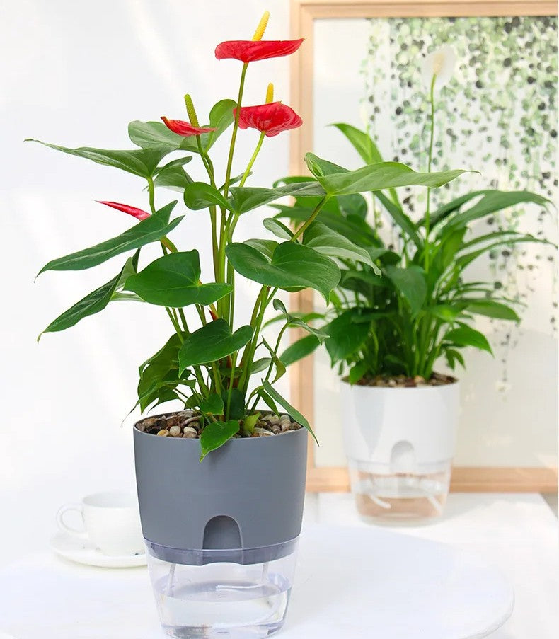 Vase Transparent Auto-arrosant – Pot de Fleurs à Double Couche avec Système d'Irrigation en Corde de Coton