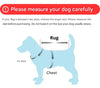 Veste de chien imperméable - RainRover