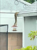 Station de Nourriture pour Oiseaux en Forme de Champignon – Pratique et Décoratif pour Jardins et Espaces Extérieurs