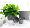 Vase Transparent Auto-arrosant – Pot de Fleurs à Double Couche avec Système d'Irrigation en Corde de Coton