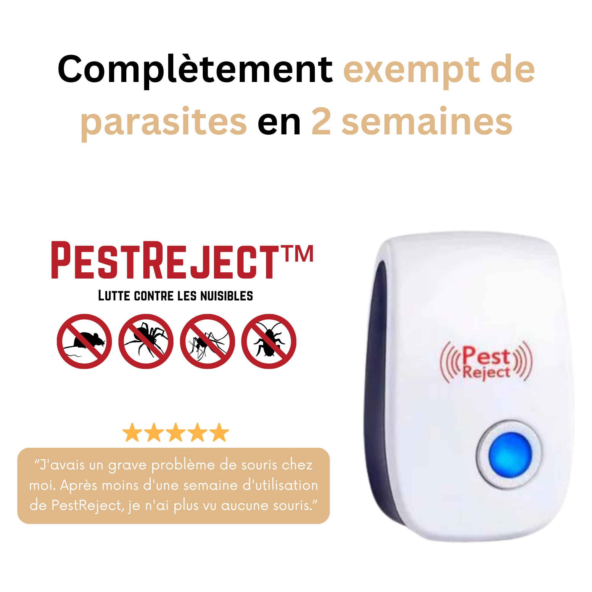 PestReject | Lutte contre les insectes et autres nuisibles
