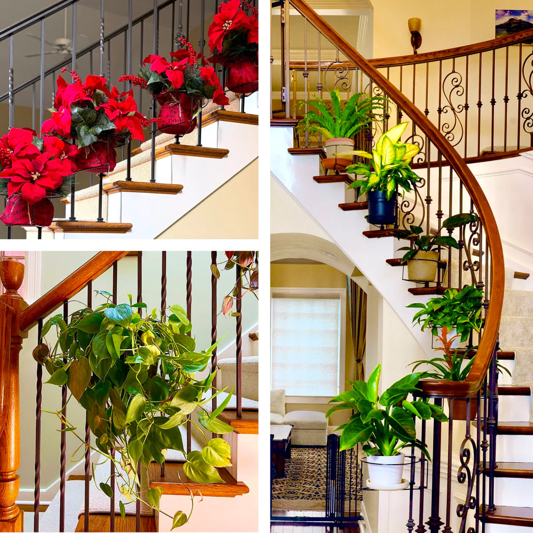 Support de plantes suspendu pour balcon – Balconia