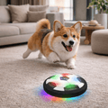 ChaseSpark – Balle Interactive pour Chiens avec Mouvements Imprévisibles