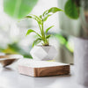 Support de plante flottant avec lévitation magnétique - Liva