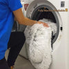 Canapé de Luxe pour Chiens - PawLounge