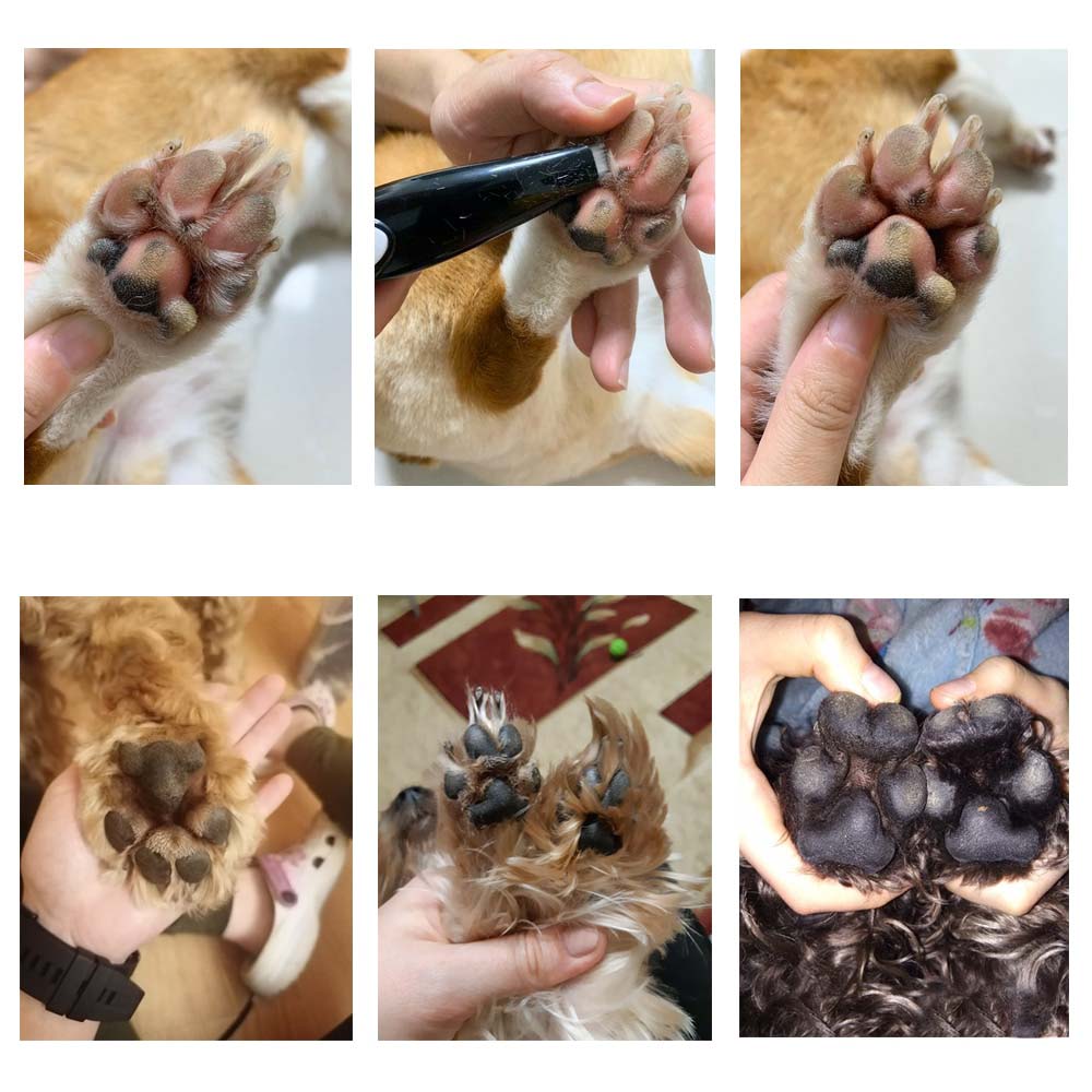Tondeuse à poils pour animaux - PawPerfect