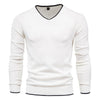 Vardi Dante™ Pull Homme | Pull Slim Fit avec Col en V