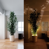 AuraLuxe Mini Spots LED Sans Fil | Éclairage d'accent dimmable pour une ambiance raffinée à la maison et au bureau