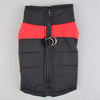 PawPrestige Luxe Veste Imperméable pour Chiens | Protection et confort ultimes par tous les temps