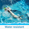 Balle de sport pour chien durable avec poignées – TugBounce