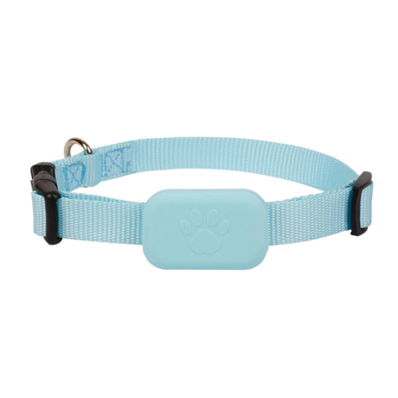 Traceur GPS pour Chien et Chat - Collier avec traceur GPS