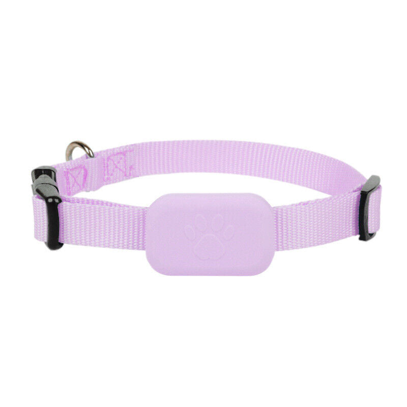 Traceur GPS pour Chien et Chat - Collier avec traceur GPS