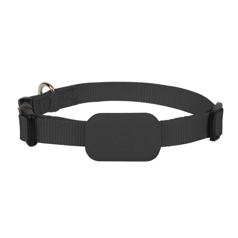 Traceur GPS pour Chien et Chat - Collier avec traceur GPS