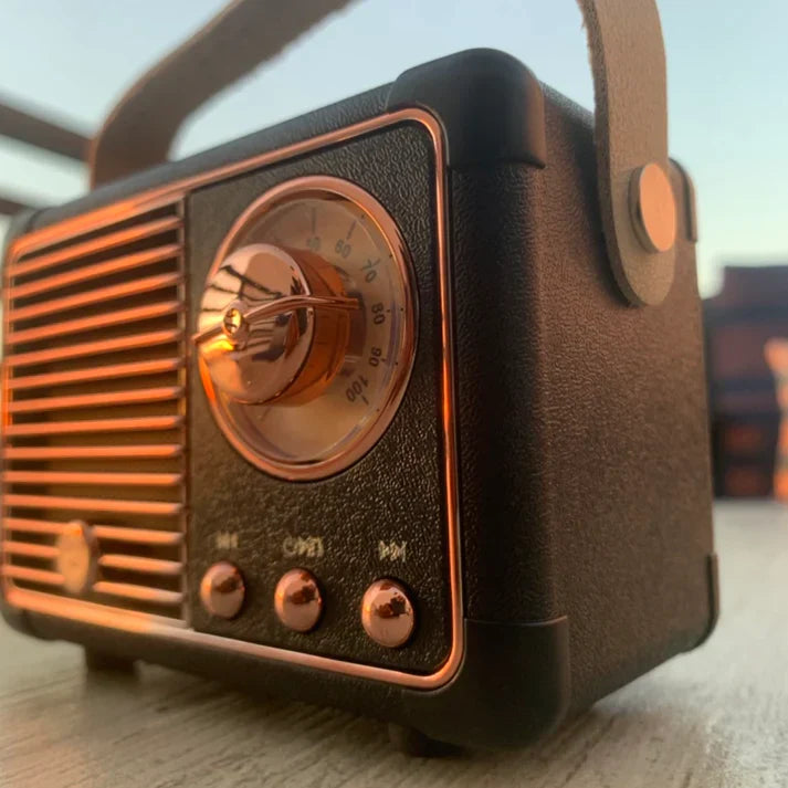 Haut-parleur Bluetooth Sonique Classic | Haut-parleur sans fil Premium 2.0 canaux avec un son riche et un design rétro