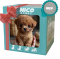 LumiPaws Chiens en Peluche Interactifs Avec Mouvements Réalistes Et Réponse au Toucher