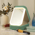 Miroir de maquillage LED | 3 modes de lumière | Organisateur & étui de voyage | Contrôle tactile | VanityBox