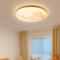 Lumière de Plafond Lune