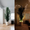 Spot LED sans fil - LumaSpot