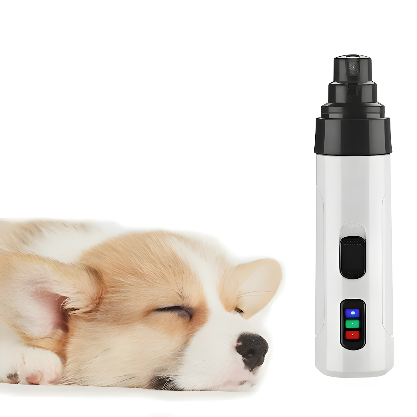 Aide électrique à la coupe des ongles pour chiens – PawTrim