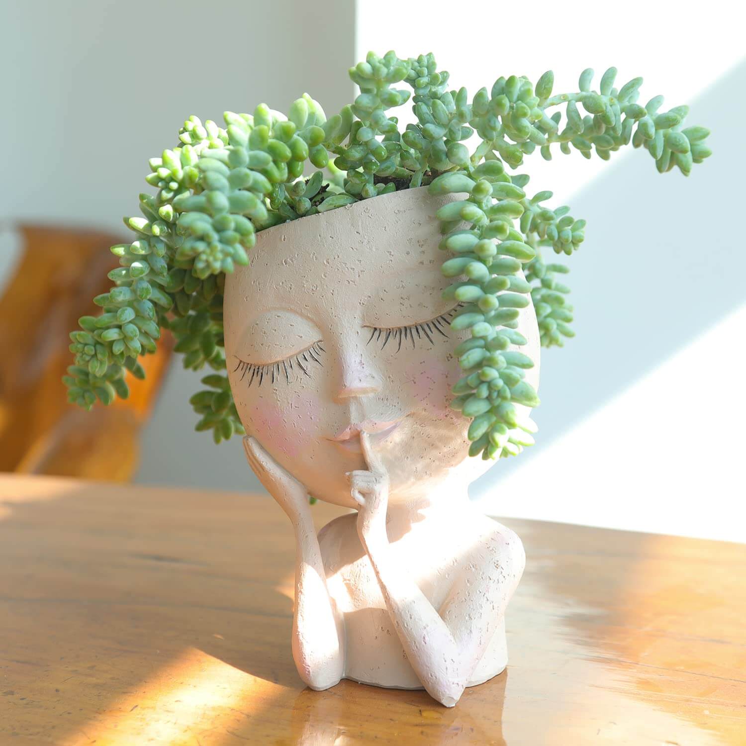 Botanique Bliss | Succulente enchanteresse de caractèr