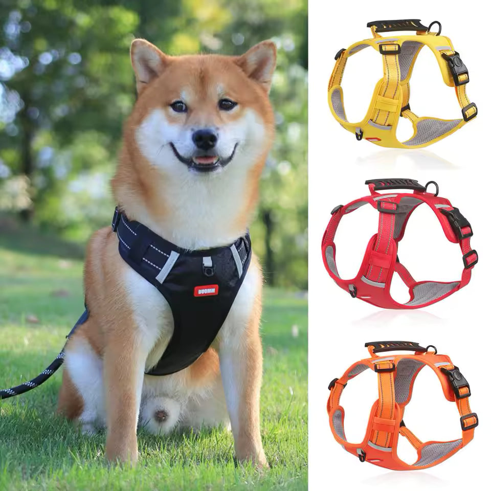 Harnais Robuste & Confortable pour Chien - ActivePup™